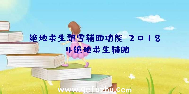 绝地求生飘雪辅助功能、2018.4绝地求生辅助