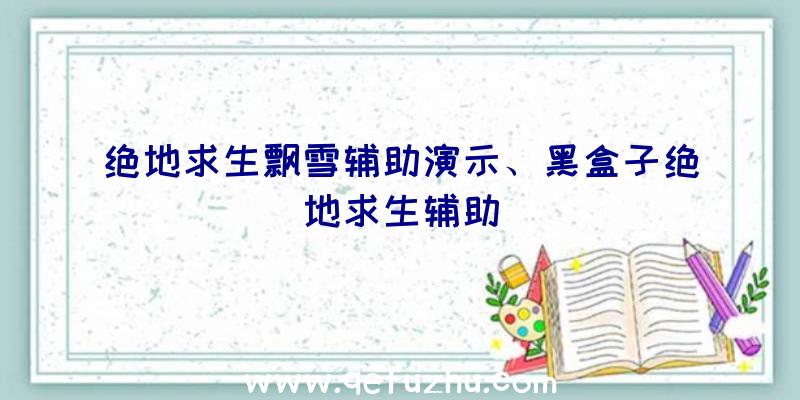 绝地求生飘雪辅助演示、黑盒子绝地求生辅助