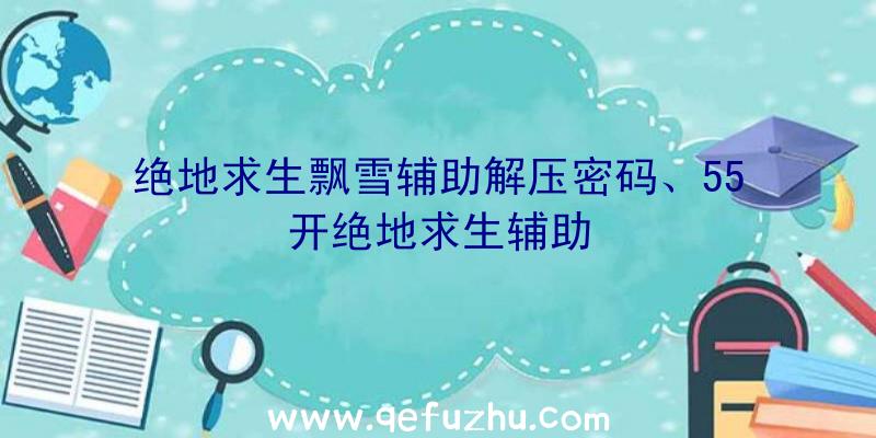 绝地求生飘雪辅助解压密码、55开绝地求生辅助