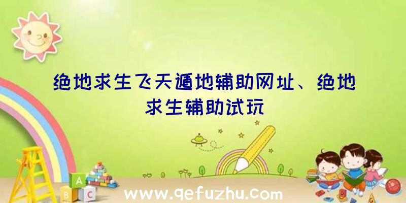 绝地求生飞天遁地辅助网址、绝地求生辅助试玩