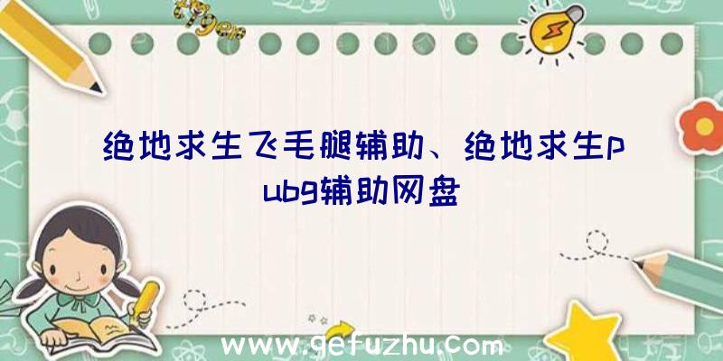 绝地求生飞毛腿辅助、绝地求生pubg辅助网盘