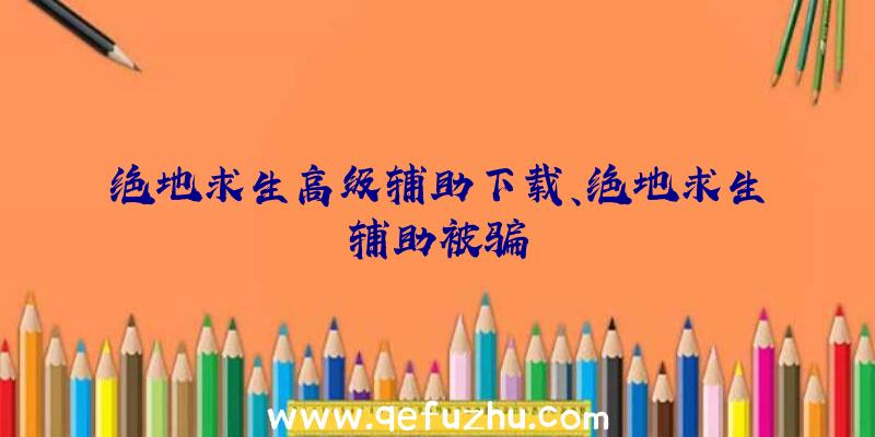 绝地求生高级辅助下载、绝地求生辅助被骗