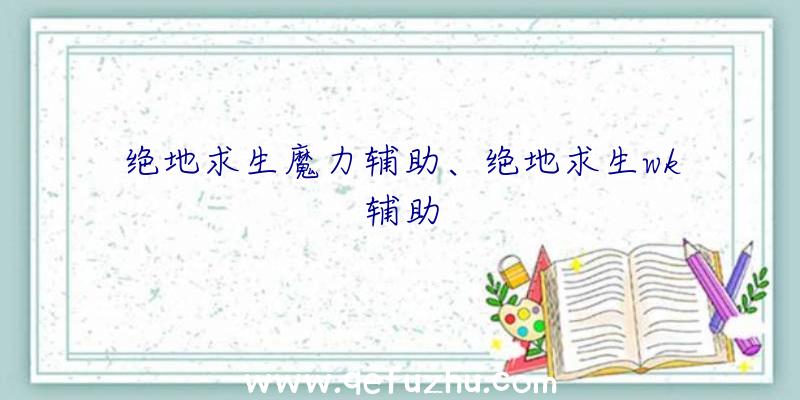 绝地求生魔力辅助、绝地求生wk辅助