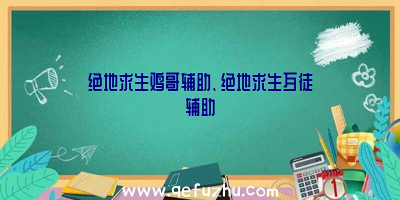 绝地求生鸡哥辅助、绝地求生歹徒辅助