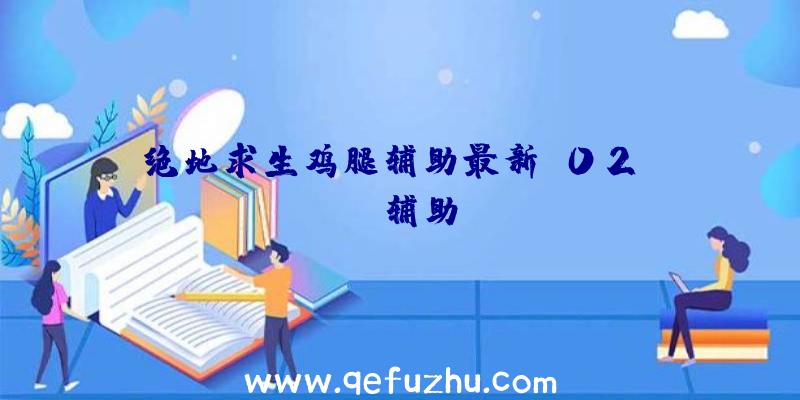 绝地求生鸡腿辅助最新、02PUBG辅助