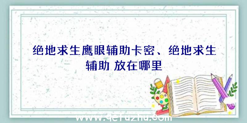 绝地求生鹰眼辅助卡密、绝地求生辅助