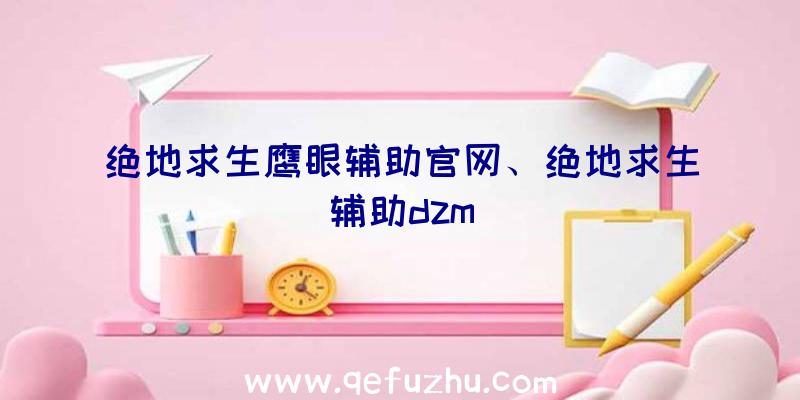 绝地求生鹰眼辅助官网、绝地求生辅助dzm