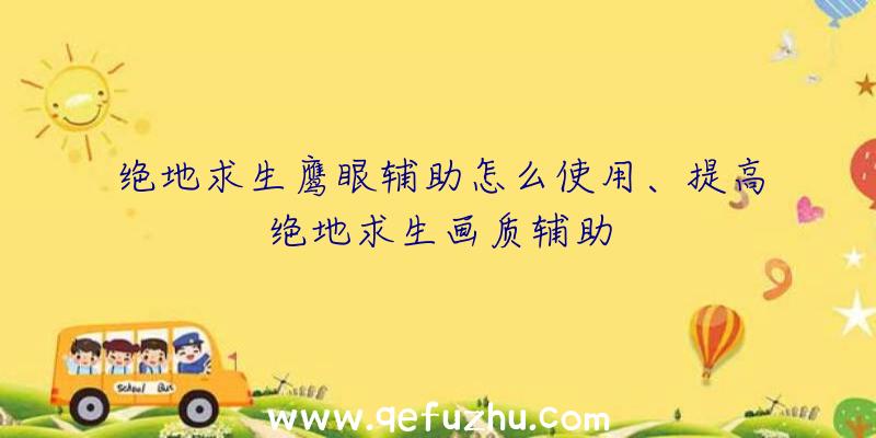 绝地求生鹰眼辅助怎么使用、提高绝地求生画质辅助