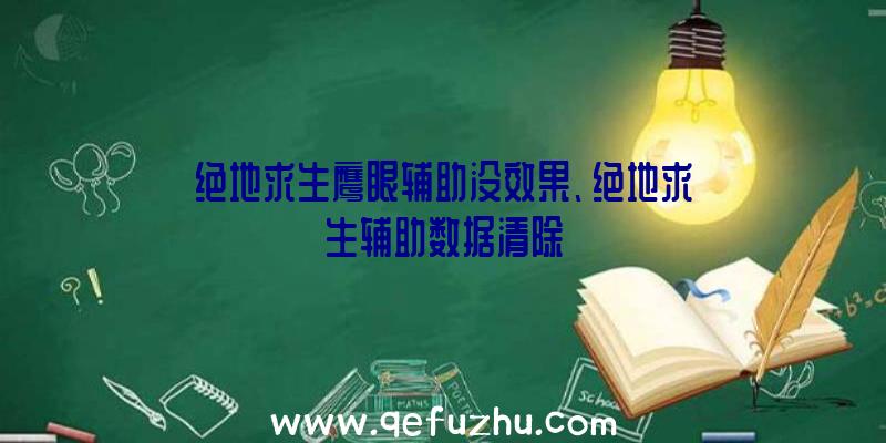 绝地求生鹰眼辅助没效果、绝地求生辅助数据清除