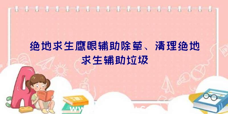 绝地求生鹰眼辅助除草、清理绝地求生辅助垃圾