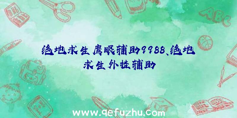 绝地求生鹰眼辅助9988、绝地求生外挂辅助