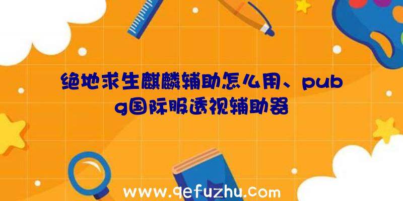 绝地求生麒麟辅助怎么用、pubg国际服透视辅助器