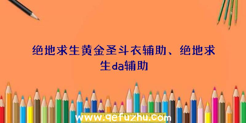 绝地求生黄金圣斗衣辅助、绝地求生da辅助