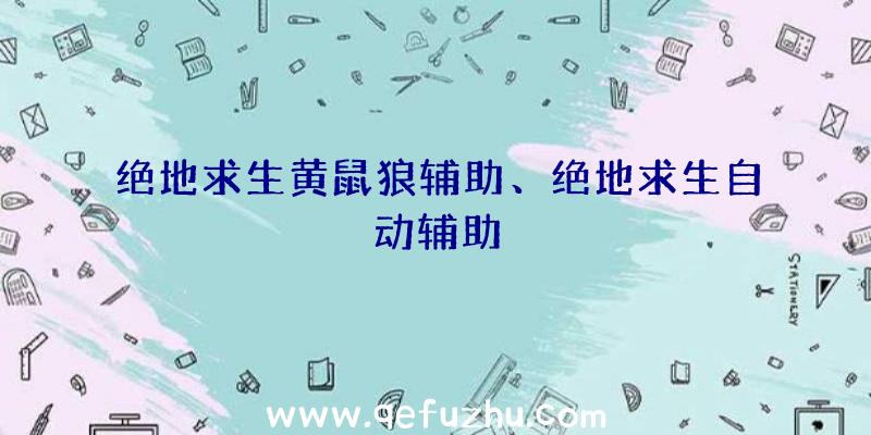 绝地求生黄鼠狼辅助、绝地求生自动辅助