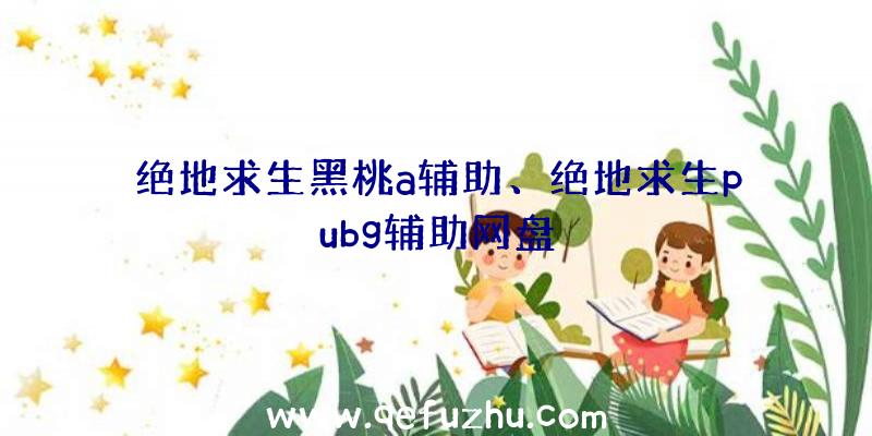 绝地求生黑桃a辅助、绝地求生pubg辅助网盘