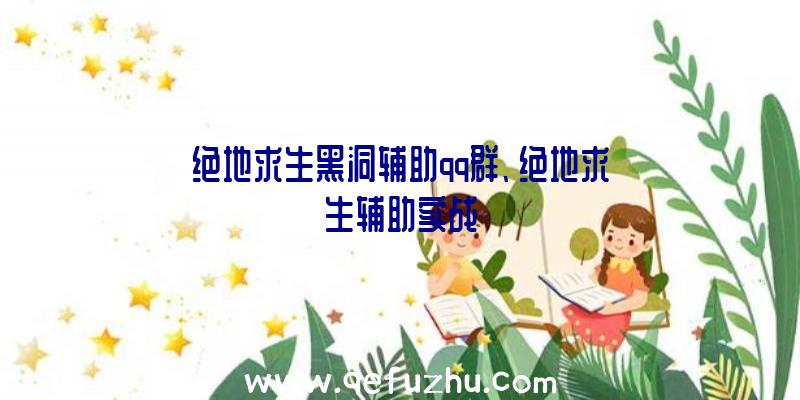 绝地求生黑洞辅助qq群、绝地求生辅助实战