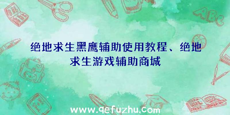 绝地求生黑鹰辅助使用教程、绝地求生游戏辅助商城