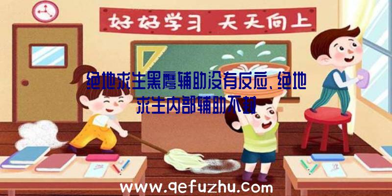 绝地求生黑鹰辅助没有反应、绝地求生内部辅助不封