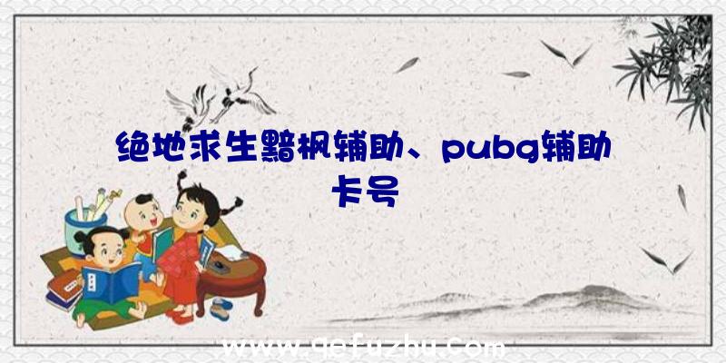 绝地求生黯枫辅助、pubg辅助卡号