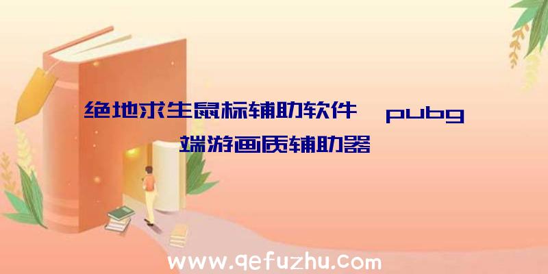 绝地求生鼠标辅助软件、pubg端游画质辅助器