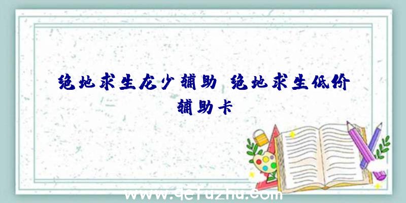 绝地求生龙少辅助、绝地求生低价辅助卡