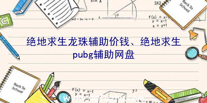 绝地求生龙珠辅助价钱、绝地求生pubg辅助网盘