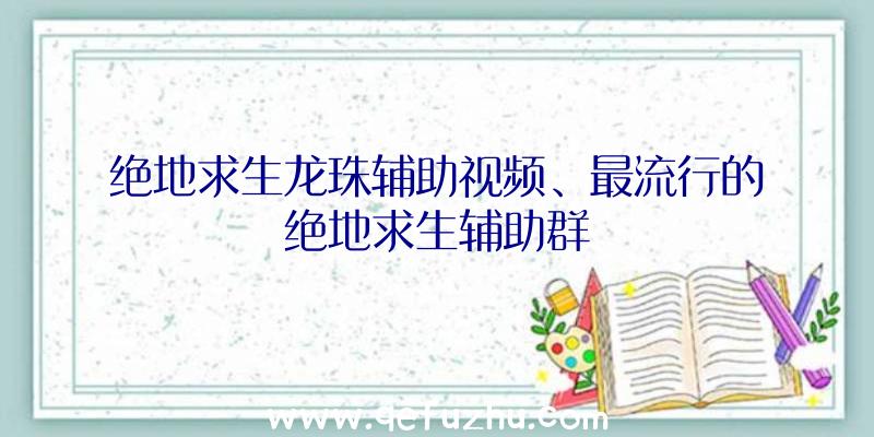 绝地求生龙珠辅助视频、最流行的绝地求生辅助群