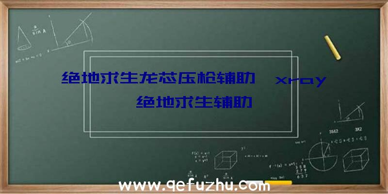 绝地求生龙芯压枪辅助、xray绝地求生辅助