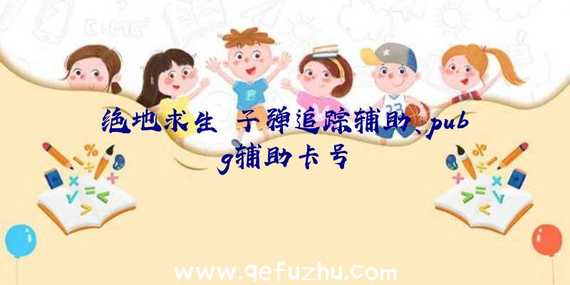 绝地求生+子弹追踪辅助、pubg辅助卡号