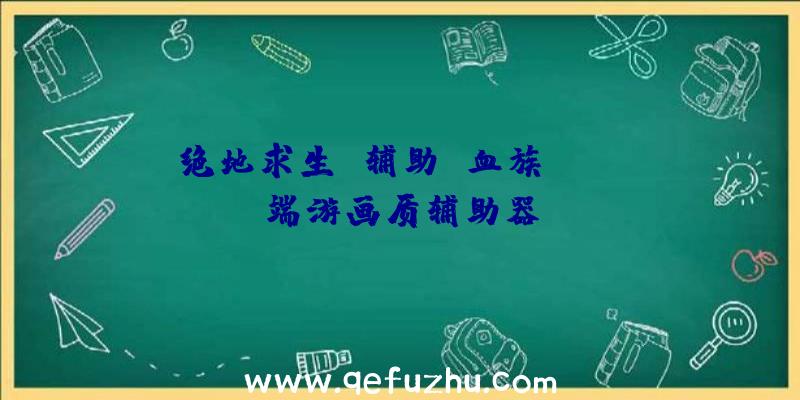 绝地求生+辅助+血族、pubg端游画质辅助器