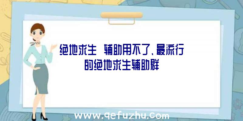 绝地求生++辅助用不了、最流行的绝地求生辅助群