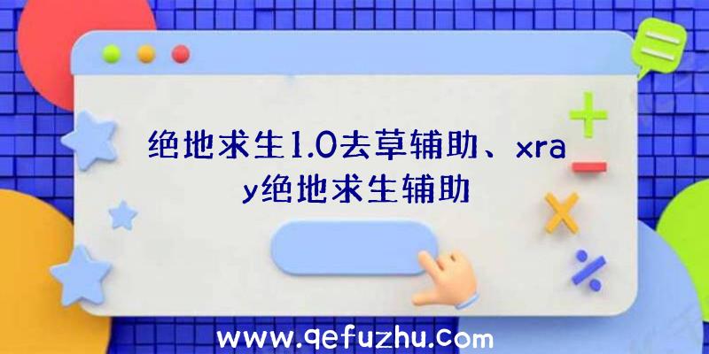 绝地求生1.0去草辅助、xray绝地求生辅助