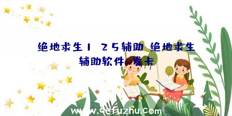 绝地求生1.25辅助、绝地求生辅助软件