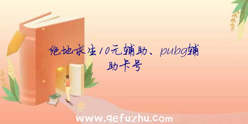 绝地求生10元辅助、pubg辅助卡号