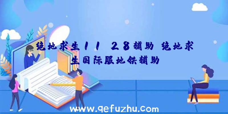 绝地求生11.28辅助、绝地求生国际服地铁辅助