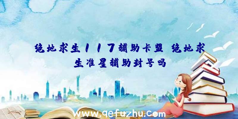 绝地求生117辅助卡盟、绝地求生准星辅助封号吗