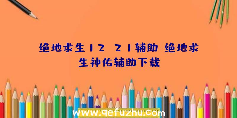绝地求生12.21辅助、绝地求生神佑辅助下载
