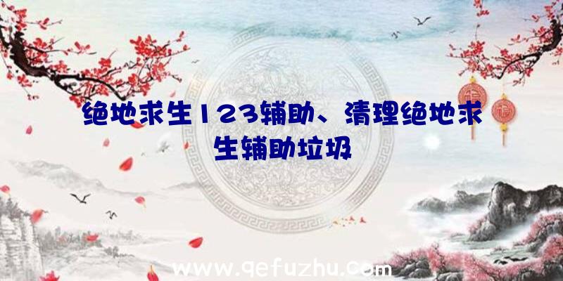 绝地求生123辅助、清理绝地求生辅助垃圾