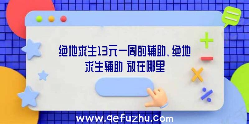 绝地求生13元一周的辅助、绝地求生辅助