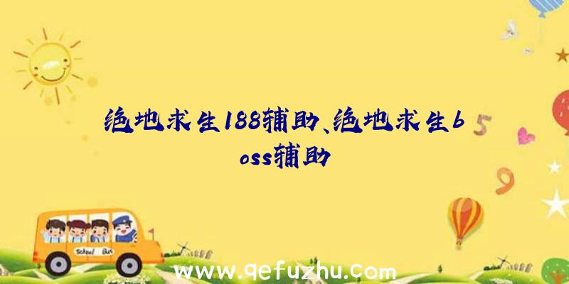 绝地求生188辅助、绝地求生boss辅助