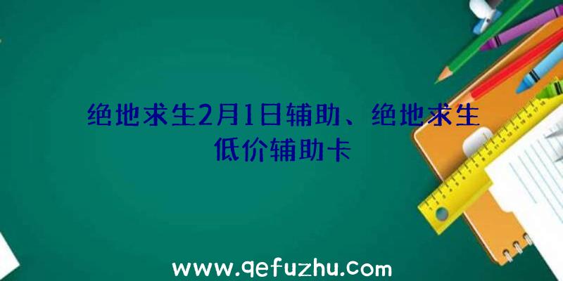 绝地求生2月1日辅助、绝地求生低价辅助卡