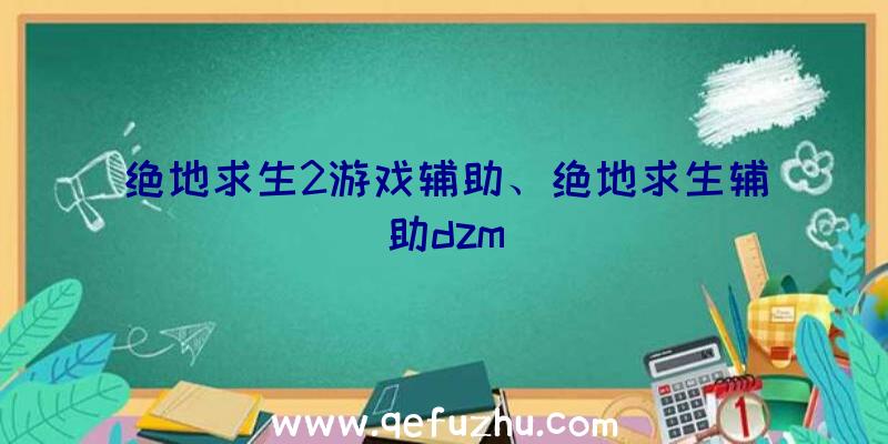 绝地求生2游戏辅助、绝地求生辅助dzm