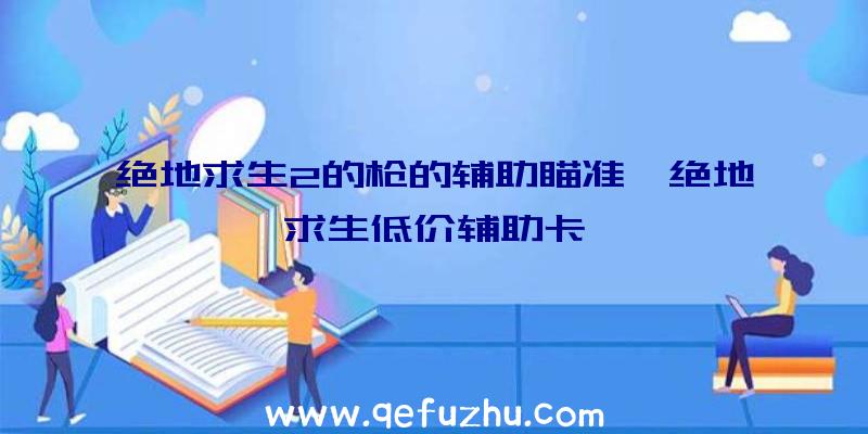 绝地求生2的枪的辅助瞄准、绝地求生低价辅助卡