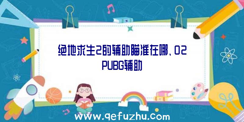 绝地求生2的辅助瞄准在哪、02PUBG辅助