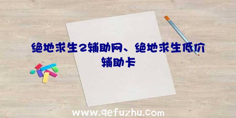 绝地求生2辅助网、绝地求生低价辅助卡