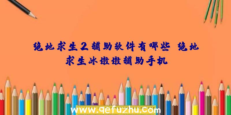 绝地求生2辅助软件有哪些、绝地求生冰墩墩辅助手机