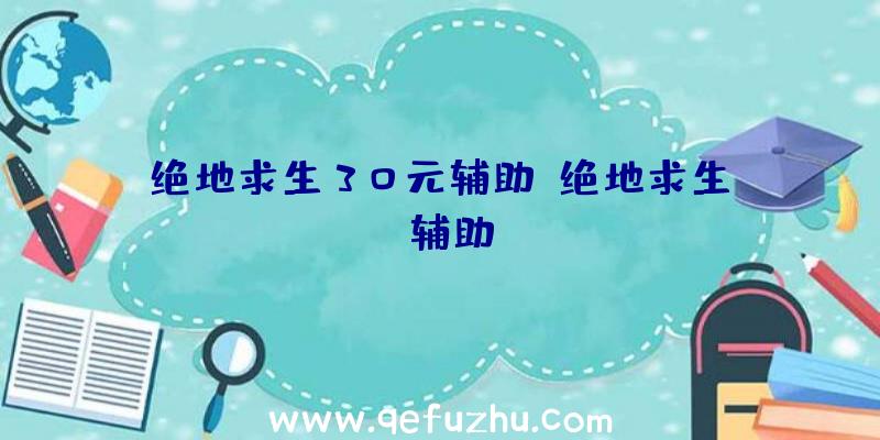 绝地求生30元辅助、绝地求生wk辅助