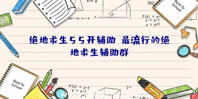 绝地求生55开辅助、最流行的绝地求生辅助群