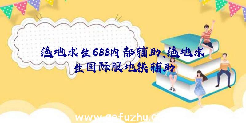 绝地求生688内部辅助、绝地求生国际服地铁辅助