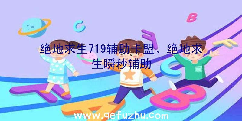 绝地求生719辅助卡盟、绝地求生瞬秒辅助